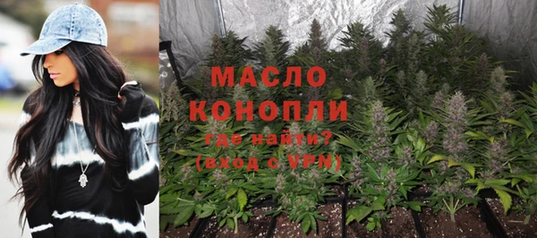 стаф Корсаков