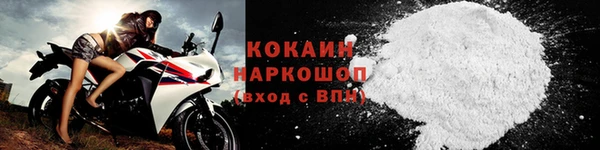 стаф Корсаков