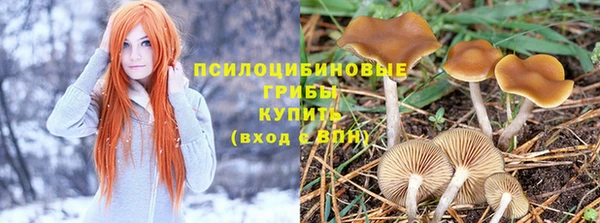 крисы Козловка