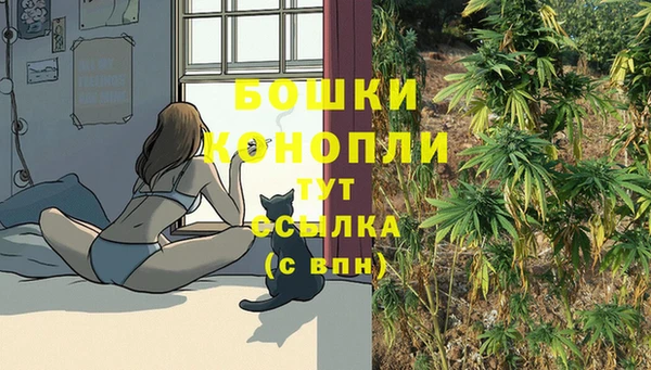 крисы Козловка